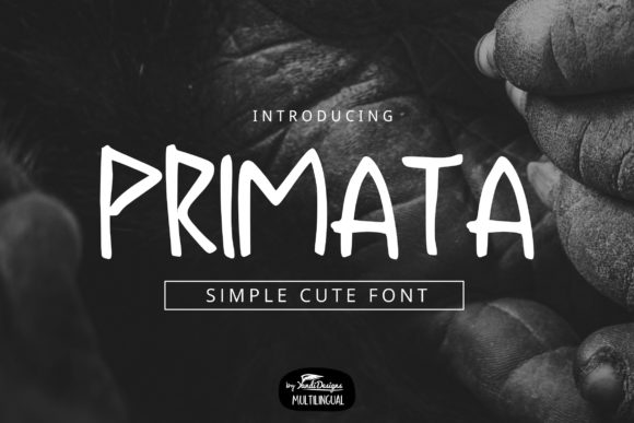 Primata: A Quirky Display Font for Your Brand