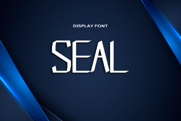 Seal: A Modern Display Font for Digital Brands